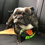 Erik Ortega Dorronsoro - @erikortegadorronsoro - Instagram
