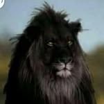 ErikDrake - @erikdrake3922 - Instagram