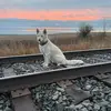 Erik Andrews - @erikandrews74 - TikTok