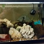 Erik Duncan - @ek9shift33 - Instagram