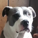 Eric Eckhardt - @eeckhardt7 - Instagram