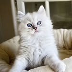 Erik Eckhardt - @erikeckhardt - Instagram
