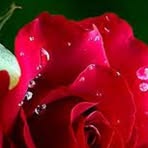 Airak Uddin - Facebook