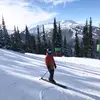 eriksedin - @eriksedin - TikTok