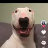 Erik_ARK - @erikehrhardt973 - TikTok