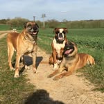 Erik Ehrhardt - @ehrhardterik - Instagram