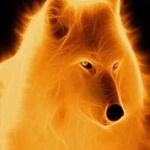 Erik Ellison - @eellison1265 - Instagram