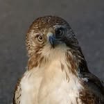 Erik A. Flickinger - @flickwet - Instagram