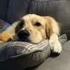 erikflickinger - @erikflickinger - TikTok