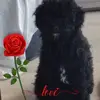 erikfransen33 - @erikfransen33 - TikTok