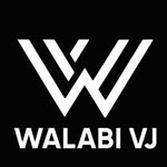 Eric Fraser - @walabi_vj - Instagram