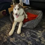 Eric G Frick - Facebook