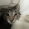 frickerik - @frickerikas - TikTok