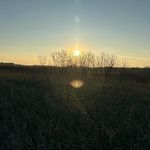 Eric Gentry - @eric.gentry.70 - Instagram