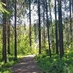 Erik Granberg - @egran285 - Instagram
