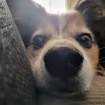 Jan-Erik Granberg - @korpenjanne - Instagram