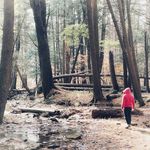 Erik Grant - @erikegrant - Instagram