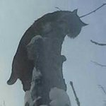 Eric Greiner - @14greiner - Instagram