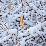 Erik Greiner - @greiner.photos - Instagram