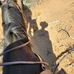 Eric Groth - Facebook