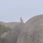 Erik Gunnarsson - @_emand_ - Instagram