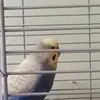 erikagutmann - @erikagutmann - TikTok