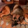 Erik Hammel480 - @erikhammel480 - TikTok
