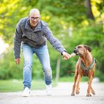 Erik Hammer - @erik_hammer_hundetraining - Instagram