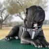 Add your name - @erikherring1990 - TikTok