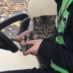 Eric Herron - @tinytim_savage - Instagram