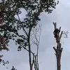 Eric Herron - @eric.herron - TikTok