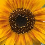 Erik Hjermstad - @stackingfunctions - Instagram