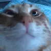 Erik Howell - @erik.howell - TikTok