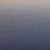 user7132565056033 - @erikhuie - TikTok