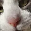 Erkan 6567 - @erikingvarsson6 - TikTok