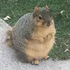 erik - @erik.jonasson - TikTok