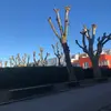 ErikJoyce - @hettiyxf1ei - TikTok