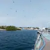 erikjuan855 - @erikjuan855 - TikTok