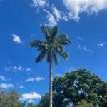 Erik&Keila - @keybispo2220 - Instagram