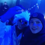 Erik Gerber - Facebook