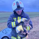 Erik Kirchner - @kirchnererik - Instagram