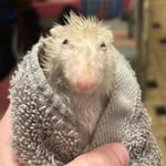 Eric Knoll - @helpme_eric - Instagram