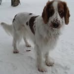 Erkki Koskela - @koskelae - Instagram