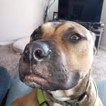 Erik Krieger - @erik.krieger.39 - Instagram