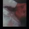 Erika Krieg - @erika_krieg1 - TikTok