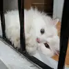 Erik Lance - @ransupi - TikTok