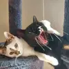 Eric Langner - @eric.langner - TikTok