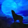 Erik Langner - @eriklangner8 - TikTok