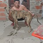 Eric Lanza - Facebook