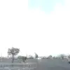 eriklawrence - @eriklawrence - TikTok